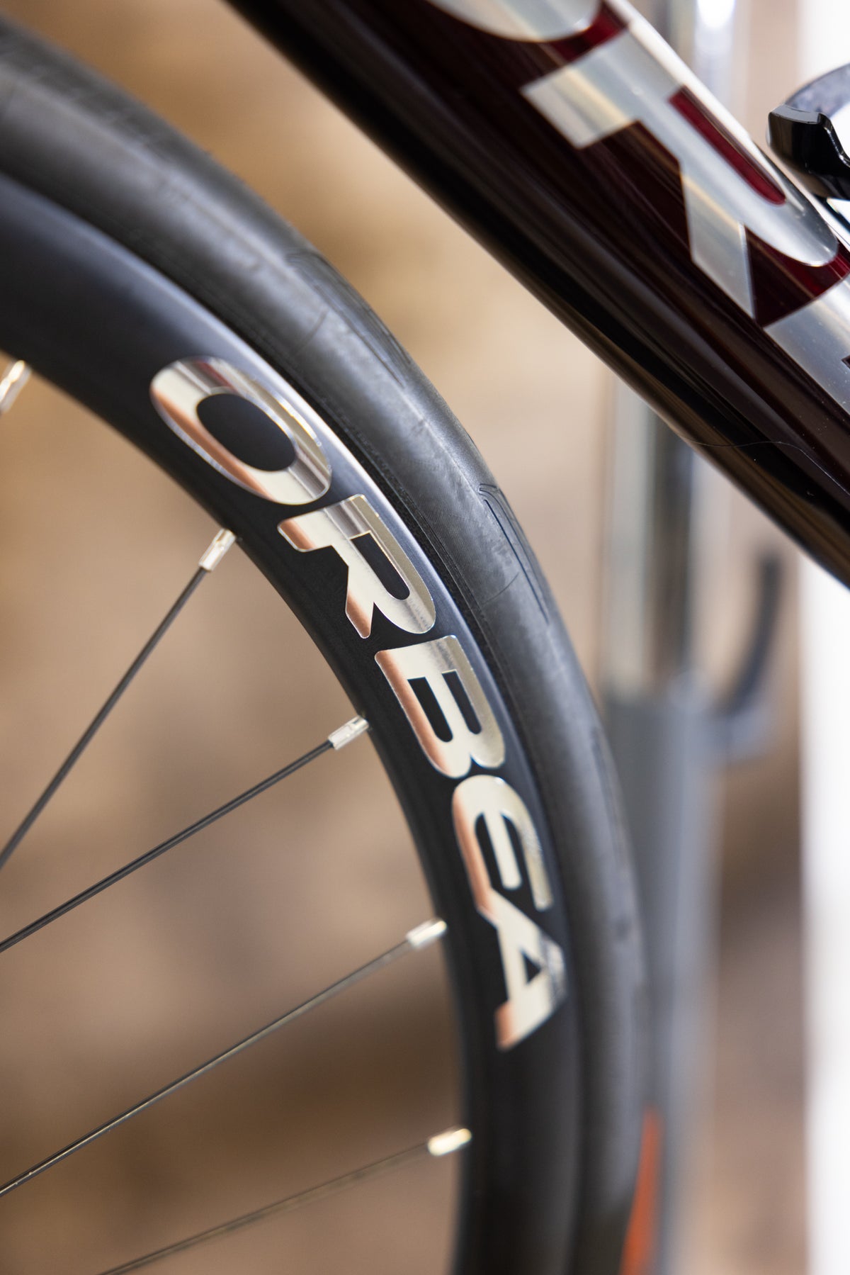 ORBEA - Stickers de jante